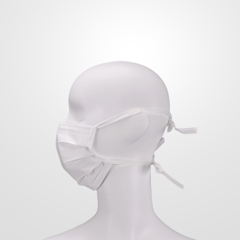 F1301 Cleanroom Face Masks - 
