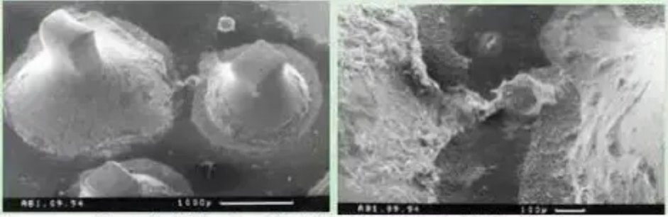 2 pictures of Ionic Contamination-Induced Dendritic Growth Leading to Short Circuit Copy